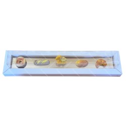 Coffret de 5 fèves La tartine 2024