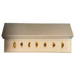 Coffret de 7 fèves Mulot - Bagues 2013