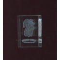 Single feve from Looney Tunes verre n°7 / 1.2p18c1