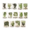 Série complète de 14 fèves Les herbes aromatiques 2002