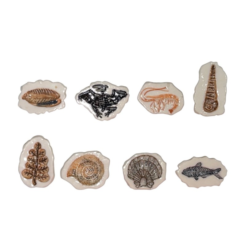 Série complète de 8 fèves Les fossiles 2003