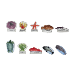 Série complète de 10 fèves Protégeons la mer 2004