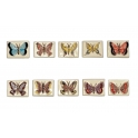 Série complète de 10 fèves Papillons