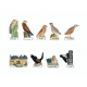 Complete set of 9 feves Les oiseaux prestigieux
