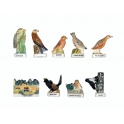 Série complète de 9 fèves Les oiseaux prestigieux