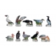 Série complète de 10 fèves Les oiseaux de mer