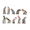 Série complète de 10 fèves Les perroquets