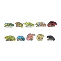 Série complète de 10 fèves Les caméléons