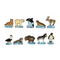 Complete set of 10 feves Animaux polaires