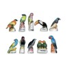 Série complète de 10 fèves Les oiseaux tropicaux 2003