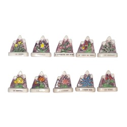 Série complète de 10 fèves La flore 2003