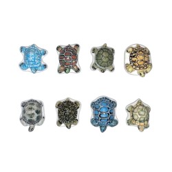 Série complète de 8 fèves Les tortues 2006