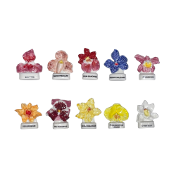 Série complète de 10 fèves Les orchidées 2006