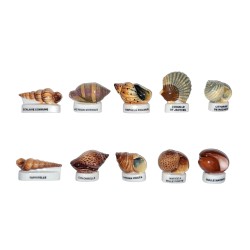 Série complète de 10 fèves Les coquillages 2006