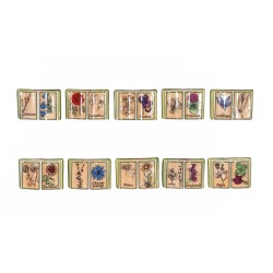 Série complète de 10 fèves Herbiers d'antan 2007
